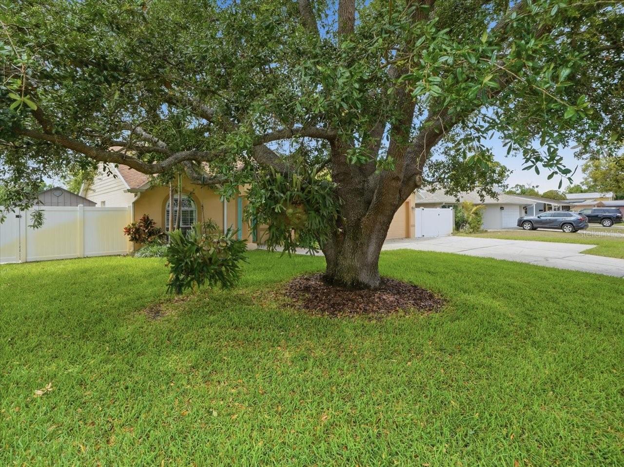 LYNNDALE SUB - Residential