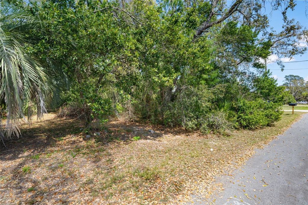 Photo of 7491 Blackhawk Trail, Spring Hill, FL 34606 (MLS # W7884265)
