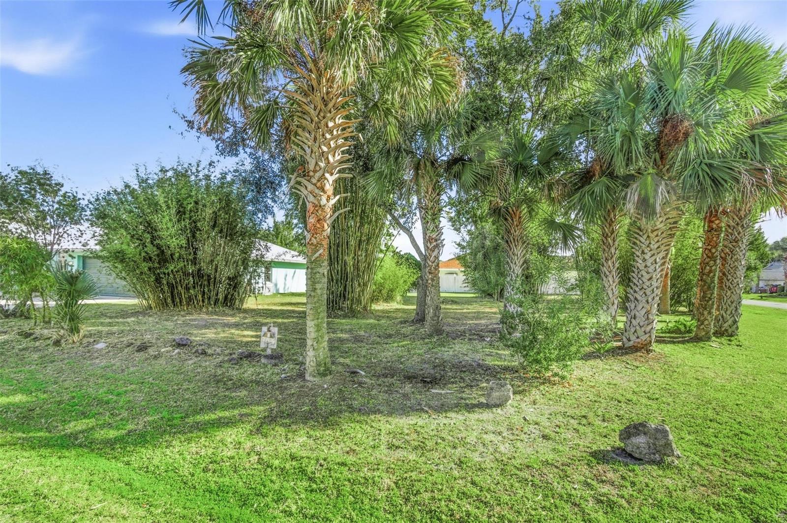 PALM COAST SEC 16 - Residential