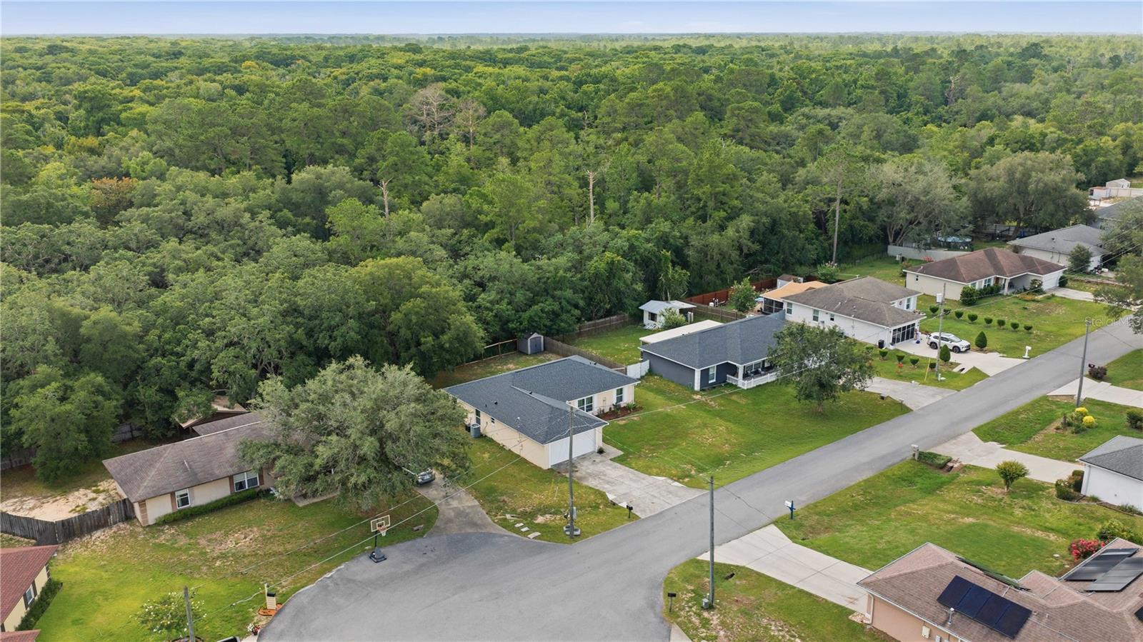 5 FIR DRIVE