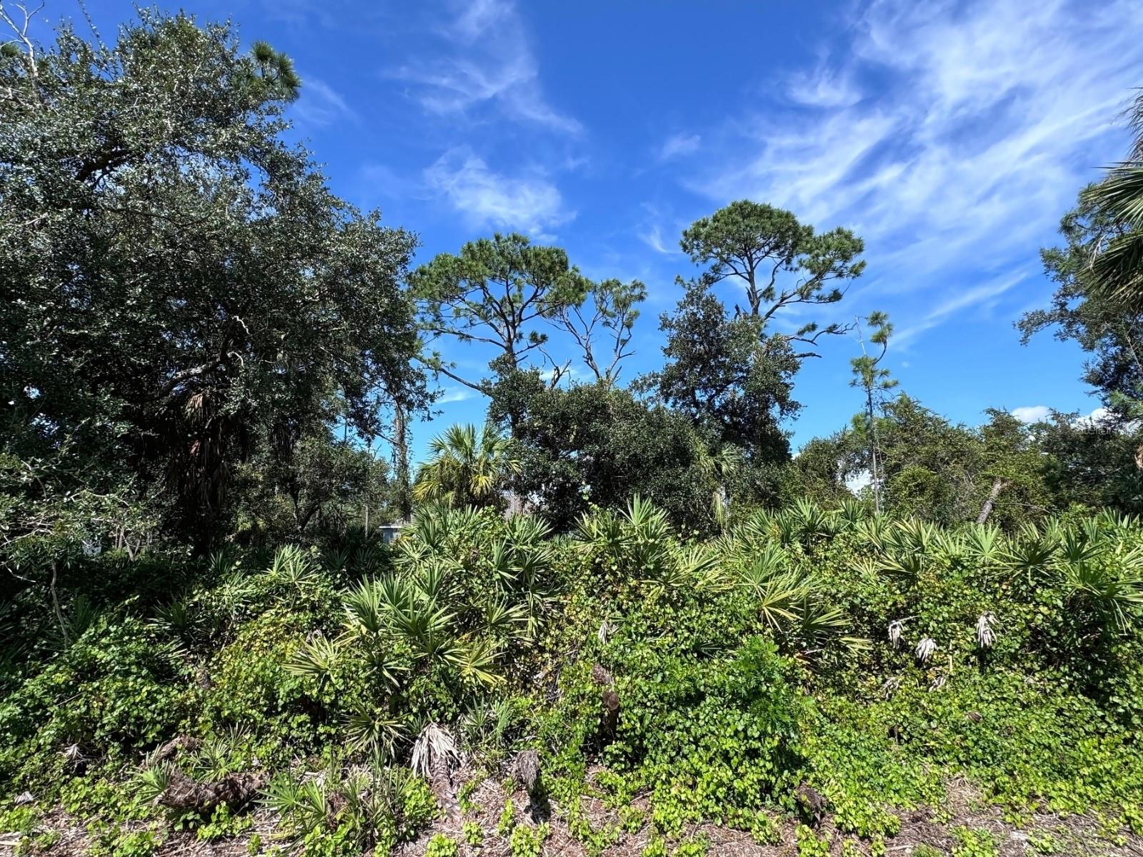Ready to build lot. No HOA, NO CDD! MINUTES to your favorite destinations, shopping, dining, LIVE entertainment, and events. Short drive to I-75, North Port Aquatic Center, and The Charlotte Sports Park welcoming the Tampa Bay Rays Spring Training. Builder Available upon request.