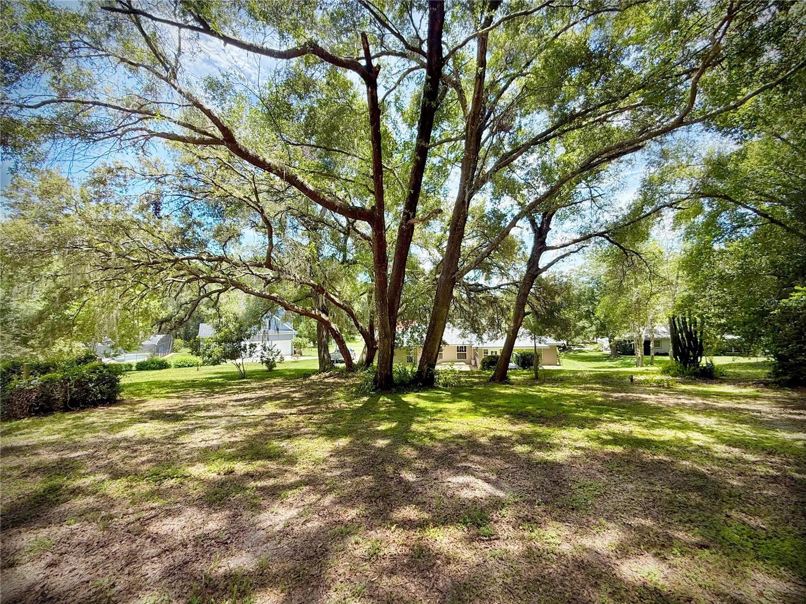 CHESTERHILL ESTATES - Residential