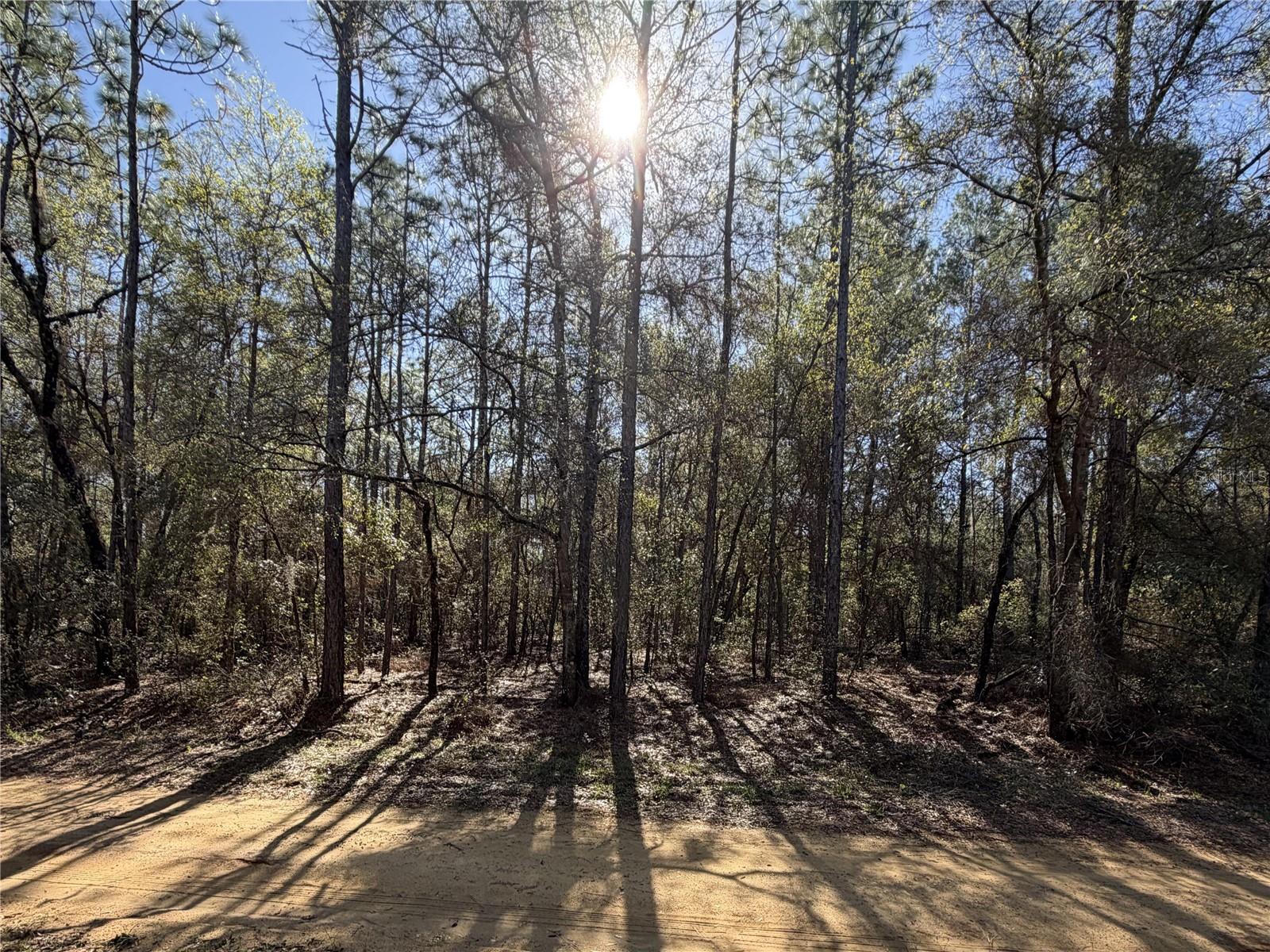 TWIN LAKE ESTATES - Land