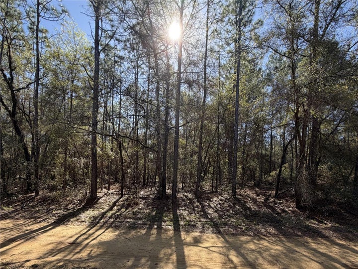 Photo 1 of 3 — SE 7TH AVENUE, INTERLACHEN, FL 32148