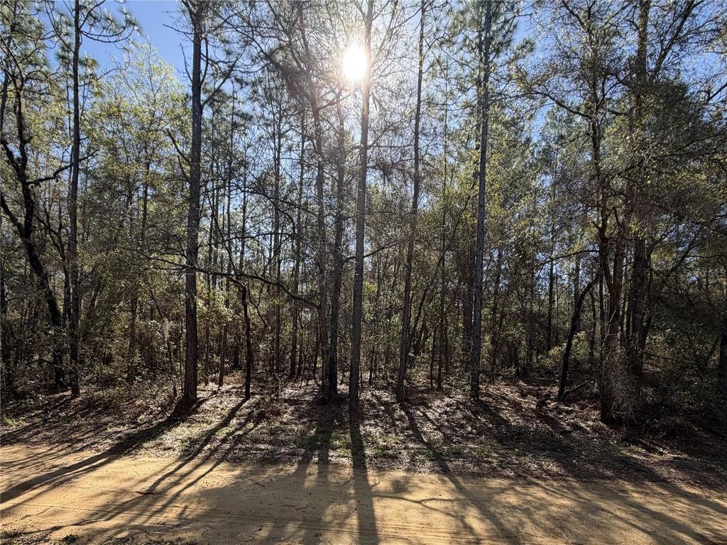 Photo of SE 7th Avenue, Interlachen, FL 32148 (MLS # GC538478)