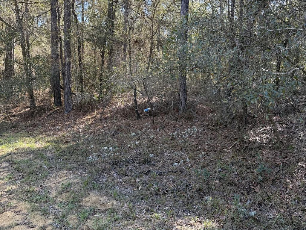 Photo of SE 7th Avenue, Interlachen, FL 32148 (MLS # GC538478)