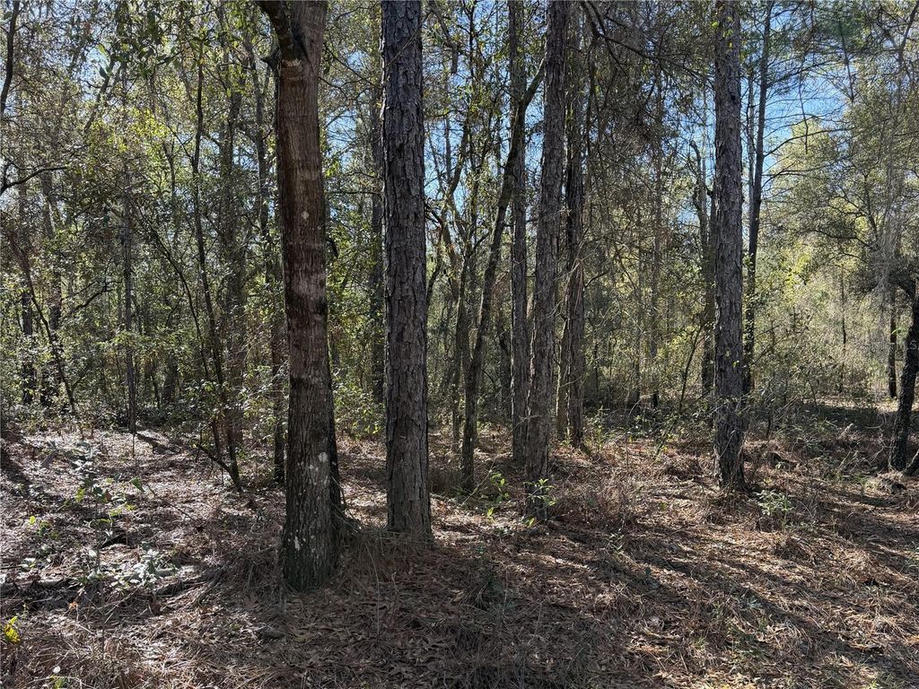 Photo of SE 7th Avenue, Interlachen, FL 32148 (MLS # GC538478)