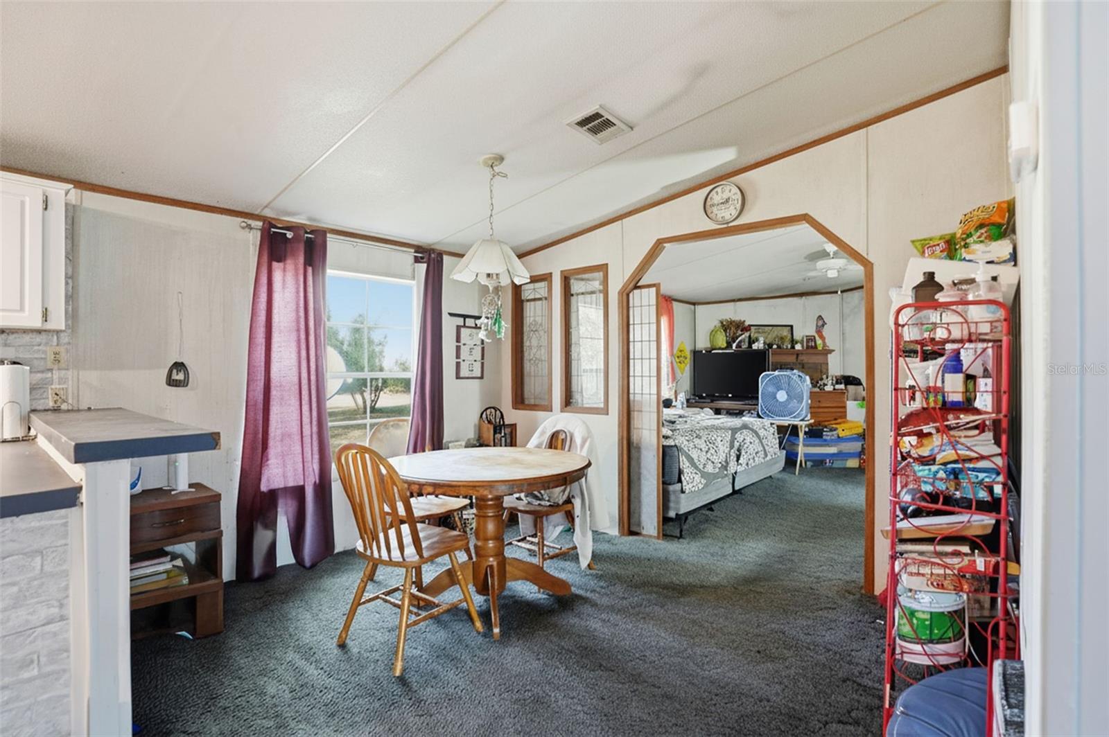 PINEY WOODS OF OLD TOWN - Residential