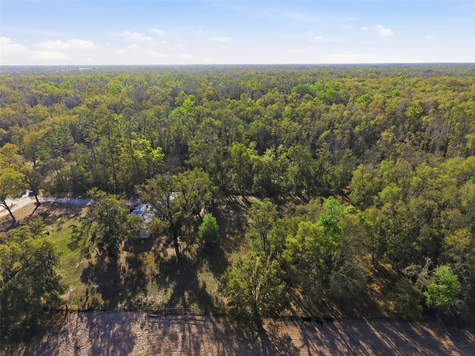 PINEY WOODS OF OLD TOWN - Residential