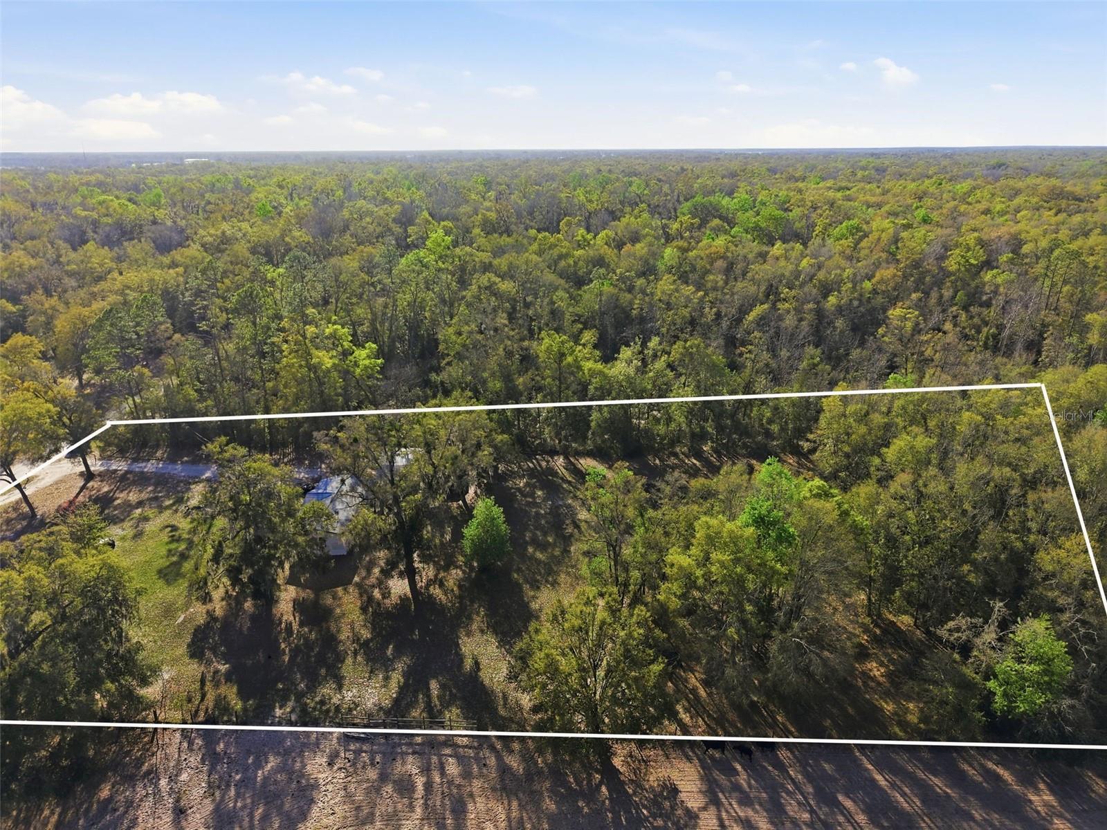 PINEY WOODS OF OLD TOWN - Residential