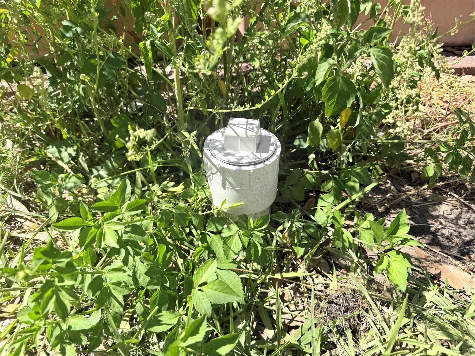 EL JOBEAN WARD 01 - Land