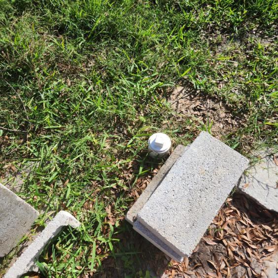 EL JOBEAN WARD 01 - Land