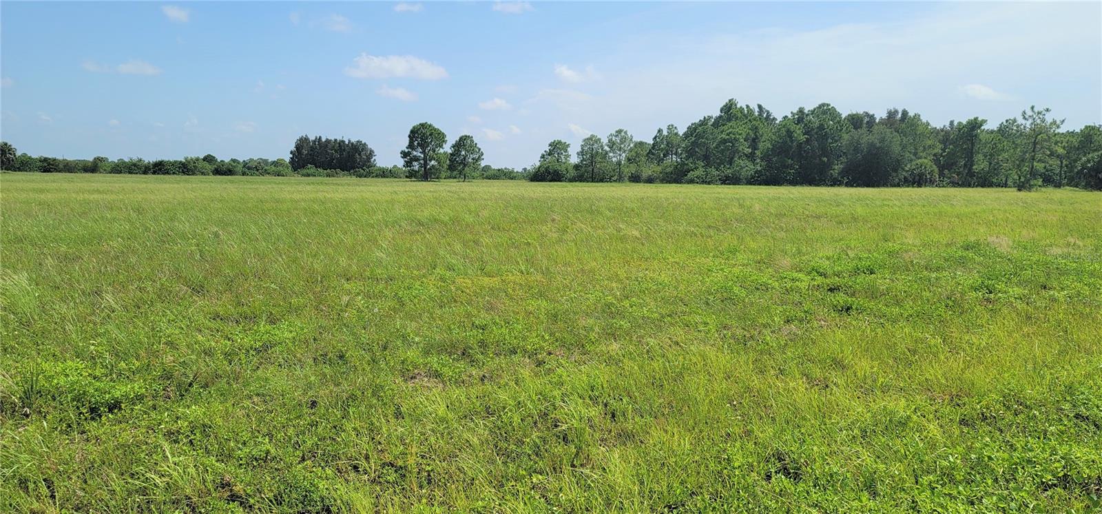 12098 & 12106 SALITPA COURT