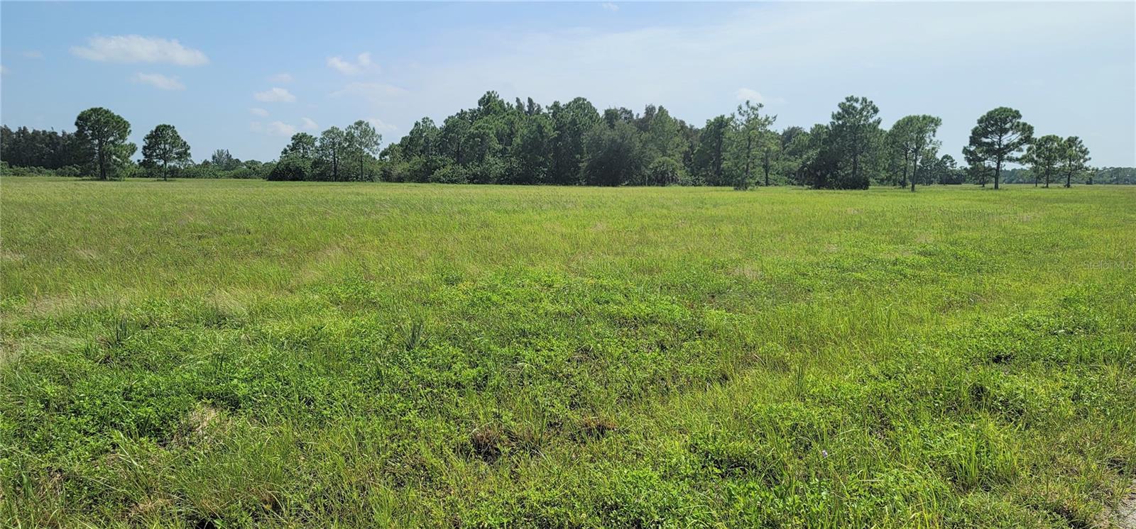 12098 & 12106 SALITPA COURT