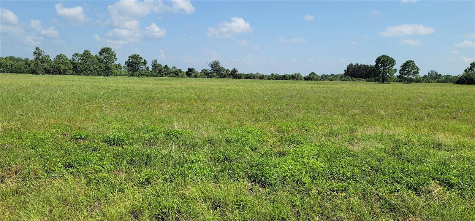 12098 & 12106 SALITPA COURT