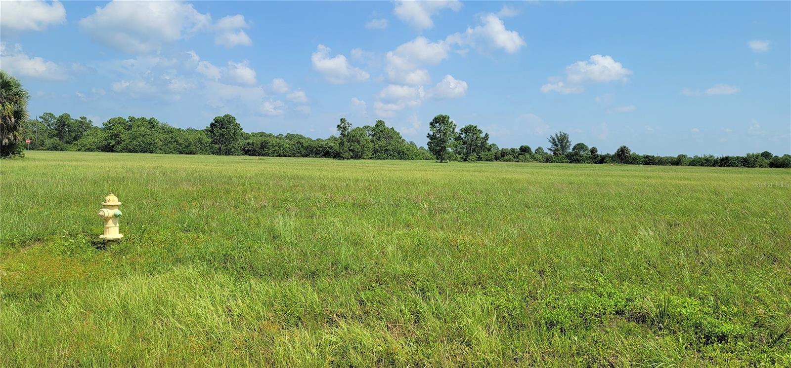 12098 & 12106 SALITPA COURT