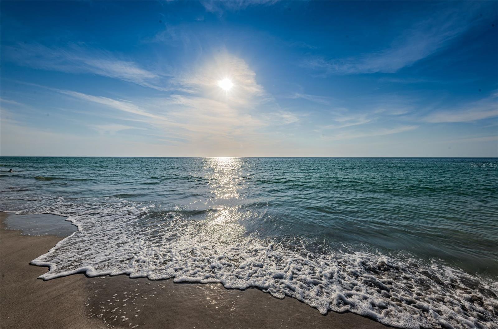 DANS ISLAND ON SAND KEY CONDO - Residential