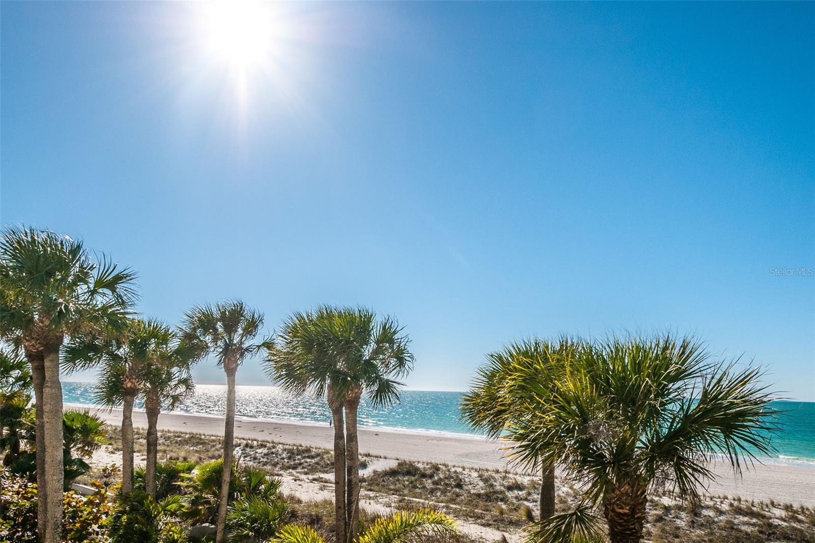 DANS ISLAND ON SAND KEY CONDO - Residential