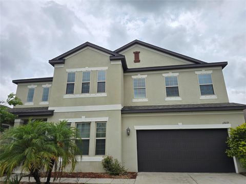 11839 CROSS VINE DRIVE RIVERVIEW FL 33579