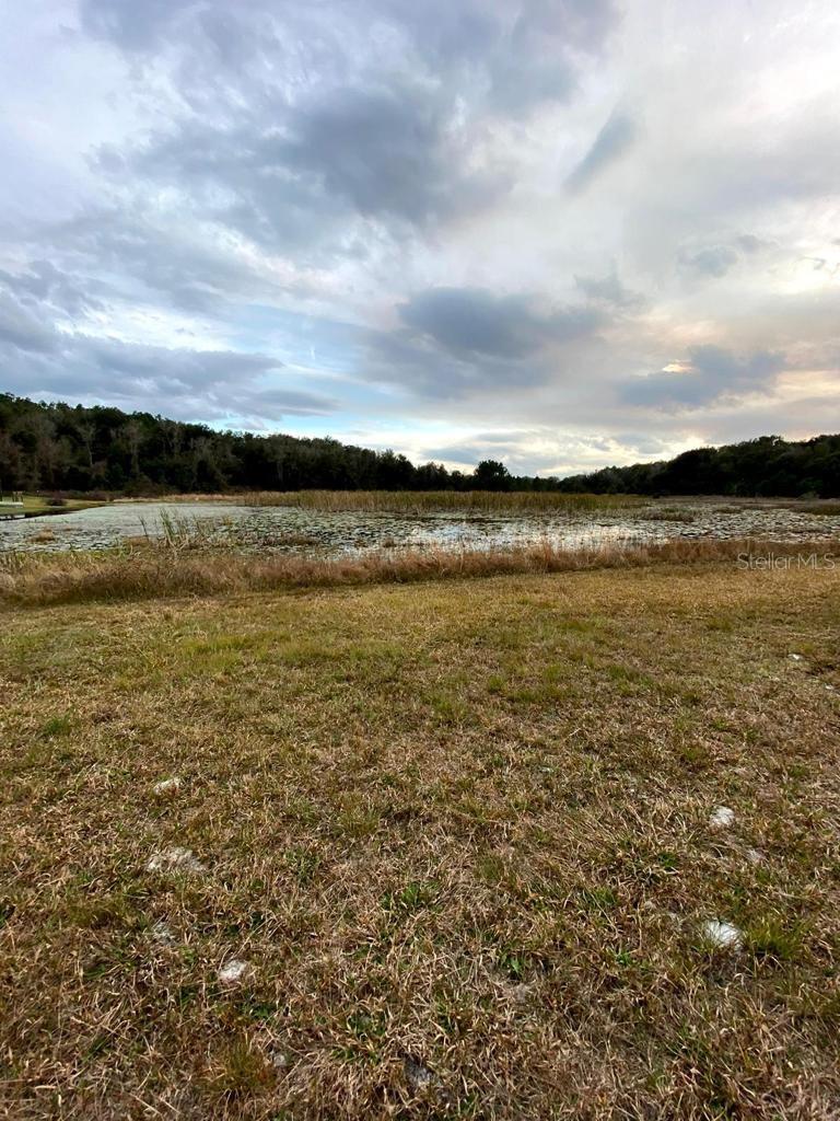 NEST A WAY TERRACE - Land