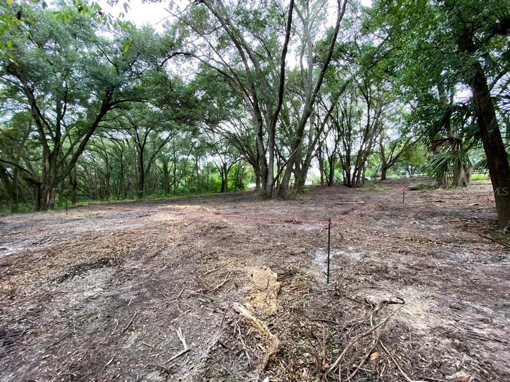 NEST A WAY TERRACE - Land