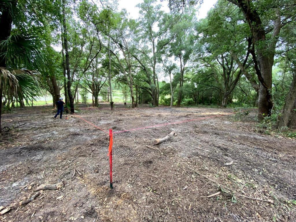 NEST A WAY TERRACE - Land