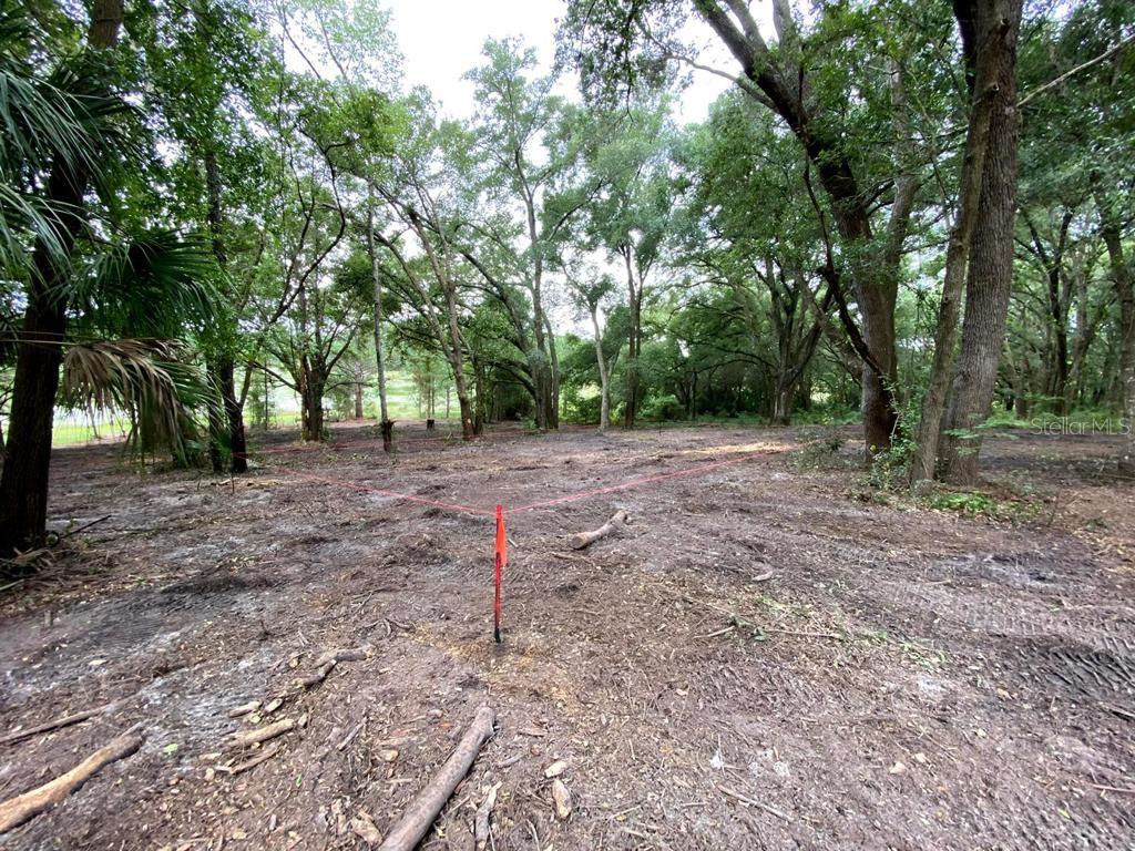 NEST A WAY TERRACE - Land