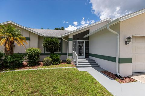 A home in PUNTA GORDA