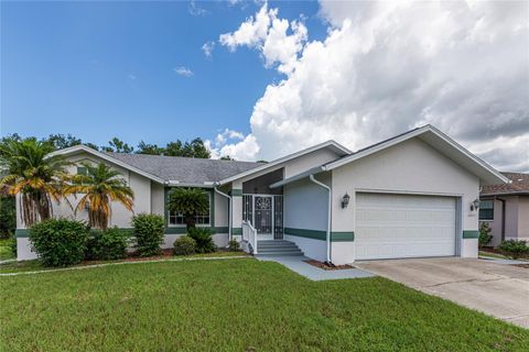 A home in PUNTA GORDA