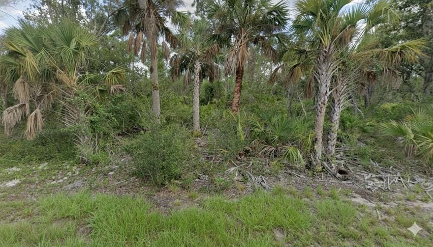 Discover the perfect opportunity to build your dream home on this spacious residential lot tucked away in a quiet and undeveloped pocket of Port Charlotte. With no other houses within a block, this property offers a rare sense of privacy and open space while still being close to the conveniences that make the area so desirable. It’s an ideal setting for anyone looking to create a peaceful retreat surrounded by nature and possibility.

Despite its secluded feel, this lot keeps you just minutes from shopping, dining, schools, medical facilities, and some of the best recreational amenities in Southwest Florida. Boaters and beach lovers will enjoy quick access to public boat ramps, the Peace River and Charlotte Harbor, and the beautiful Gulf Coast beaches. Whether you're envisioning a seasonal escape or a full-time residence, this blank canvas allows you to design a home that perfectly fits your lifestyle.

With no HOA and plenty of room for your preferred home style, outdoor features, or future expansion, this property offers freedom and flexibility rarely found in such a convenient location. Don’t miss the chance to secure a private, well-situated lot in the heart of growing Port Charlotte—your future home site awaits.