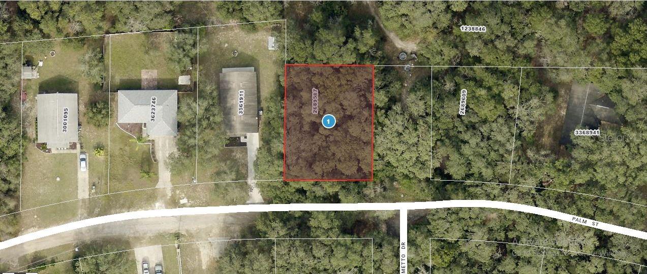 GREAT LOT IN LADY LAKE, CALL TODAY