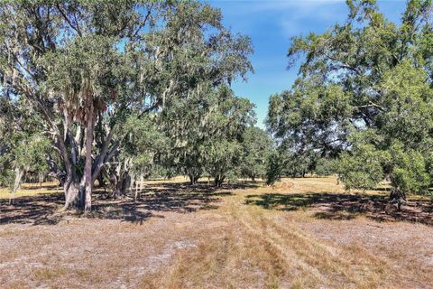 470 MOCCASIN HOLLOW ROAD LITHIA FL 33547