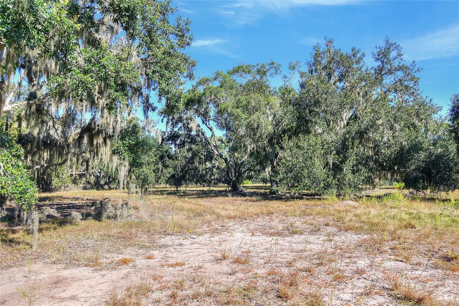 470 MOCCASIN HOLLOW ROAD