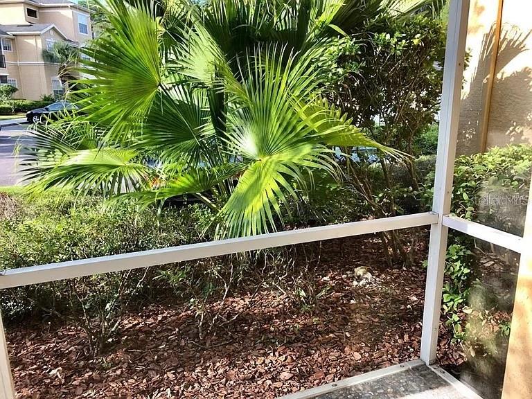 OXFORD PLACE AT TAMPA PALMS A CONDO - Residential