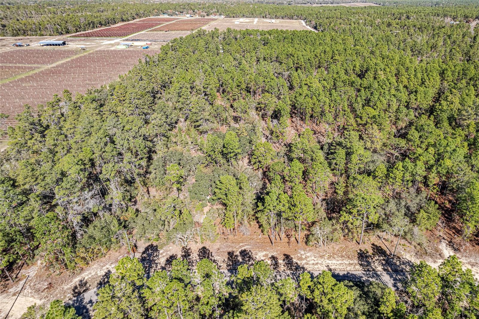 CITRUS SPGS UNIT 10 - Land