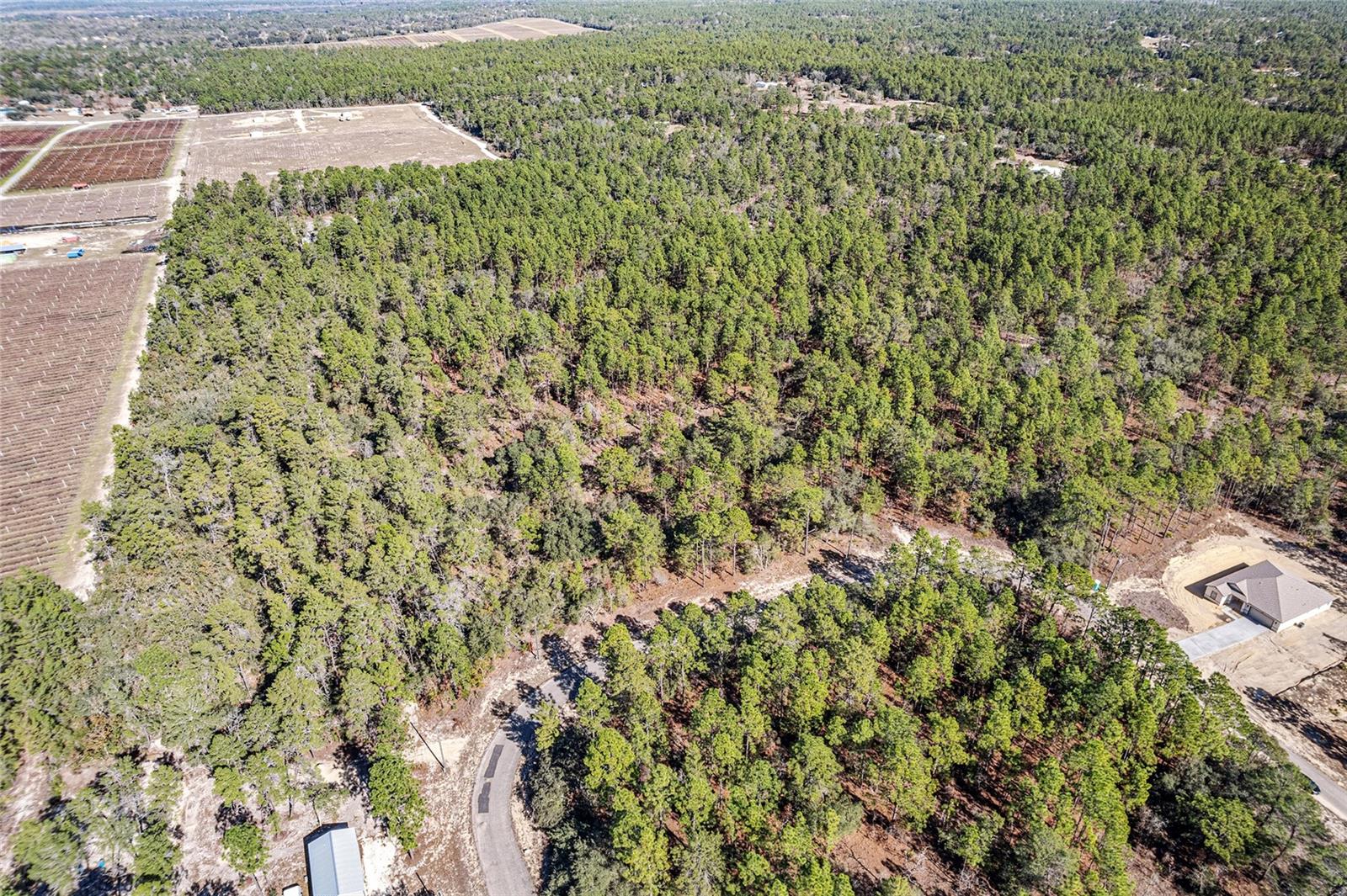 CITRUS SPGS UNIT 10 - Land