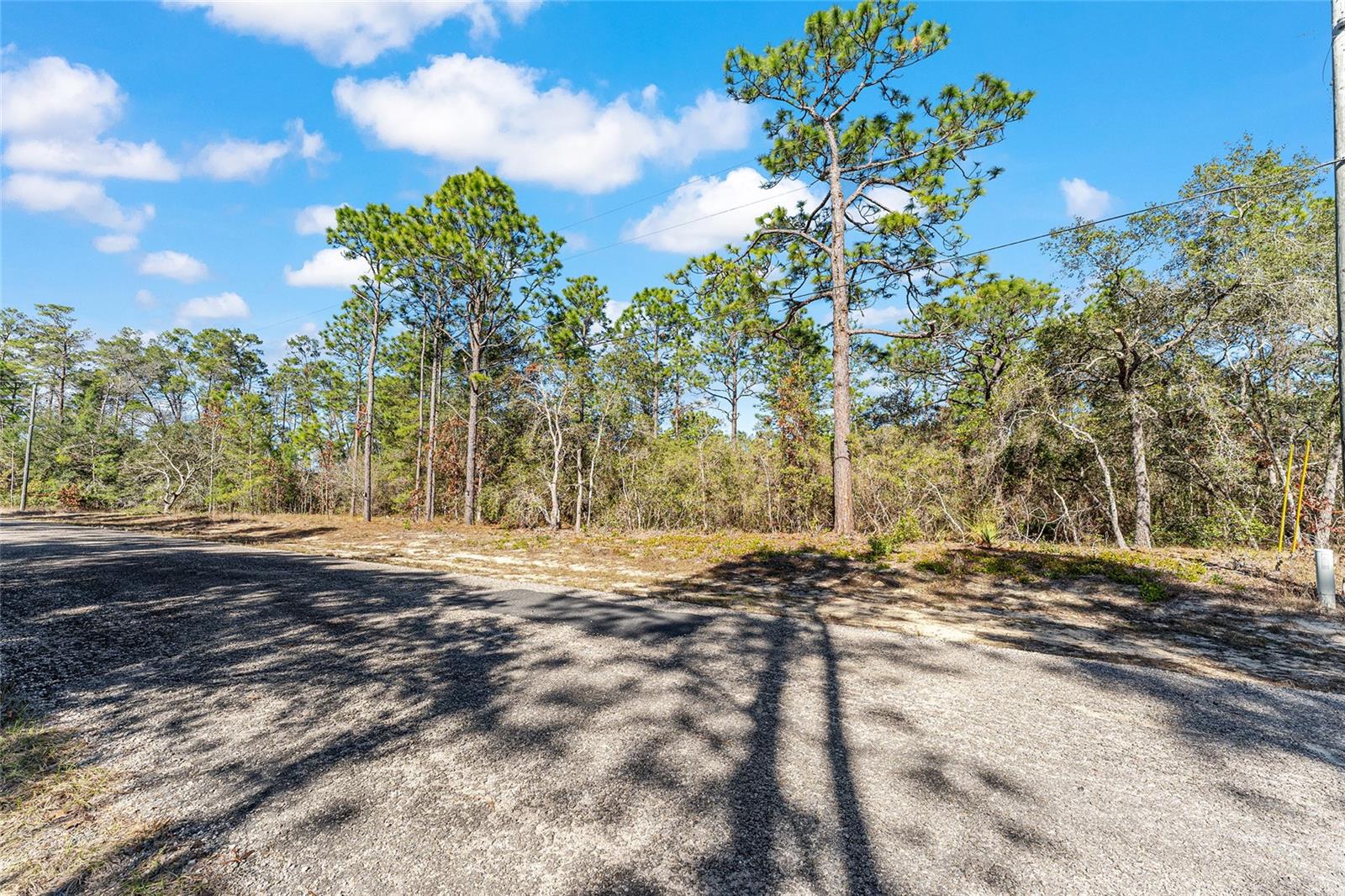 CITRUS SPGS UNIT 10 - Land