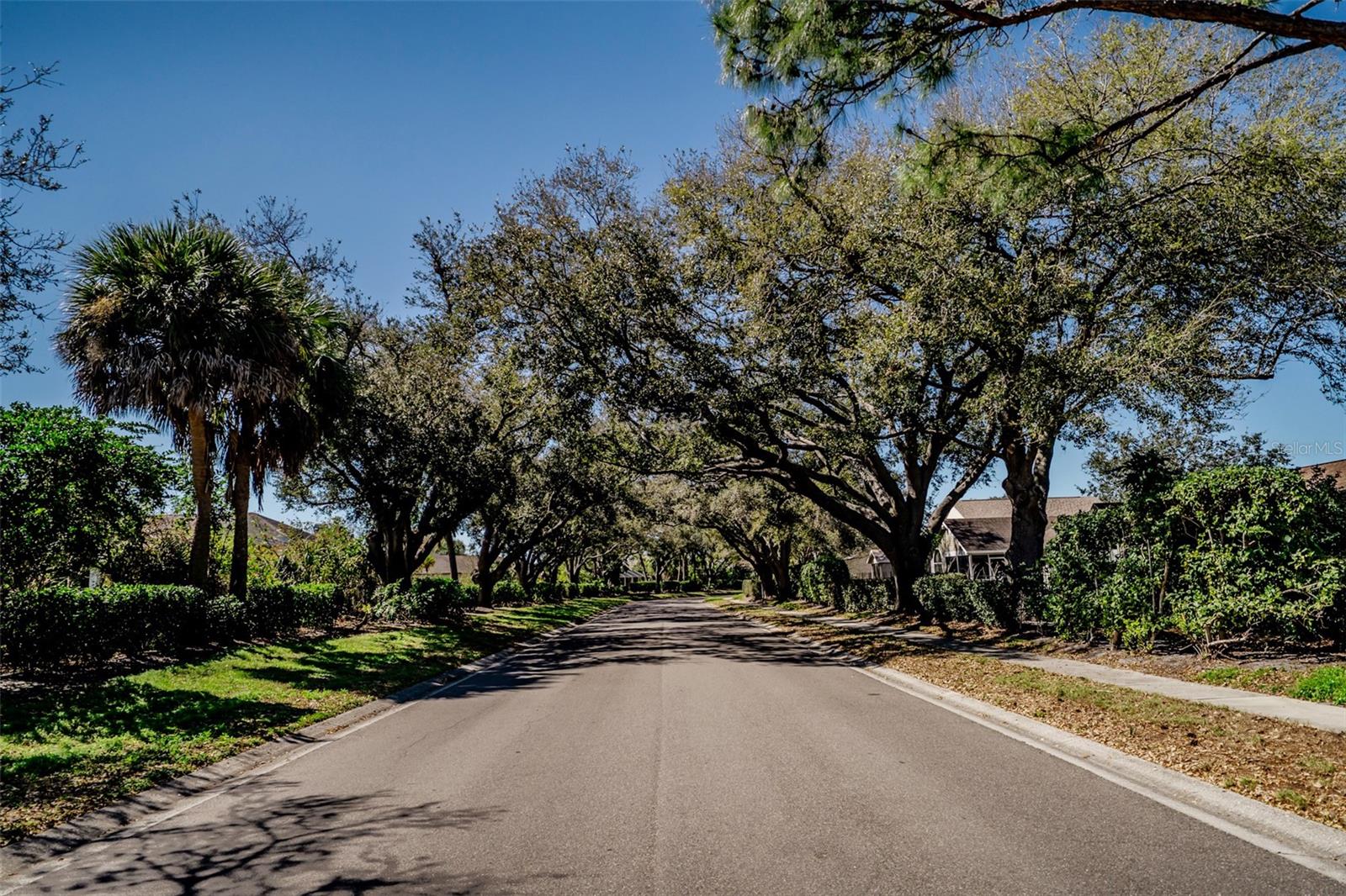 BRIARWOOD - Residential