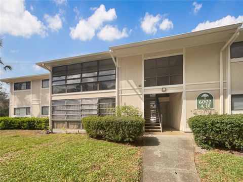 6002 LAKETREE LANE B TEMPLE TERRACE FL 33617