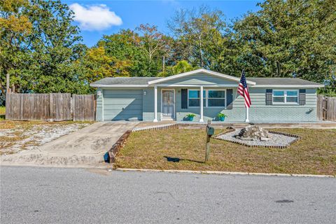 3412 PETERBOROUGH STREET HOLIDAY FL 34690