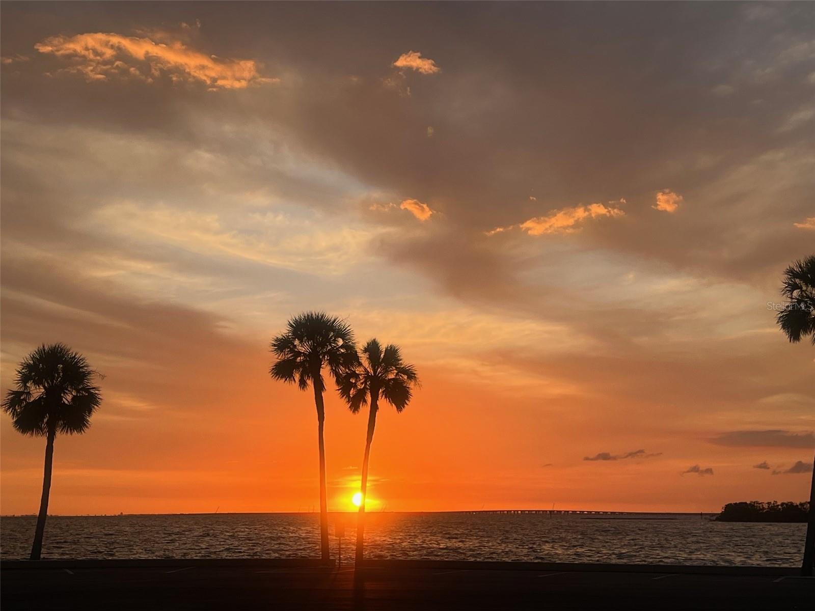 REGENCY COVE A COOPERATIVE - Residential