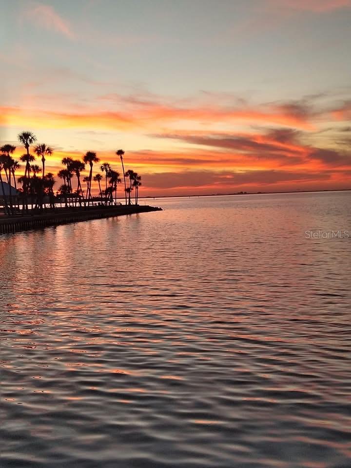 REGENCY COVE A COOPERATIVE - Residential