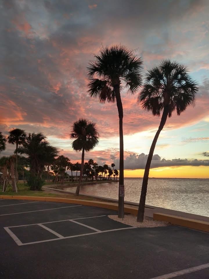 REGENCY COVE A COOPERATIVE - Residential