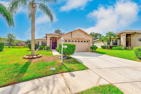 Photo of 11600 Weaver Park Court, Trinity, FL 34655 (MLS # TB8439463) Photo of 11600 Weaver Park Court, Trinity, FL 34655 (MLS # TB8439463)