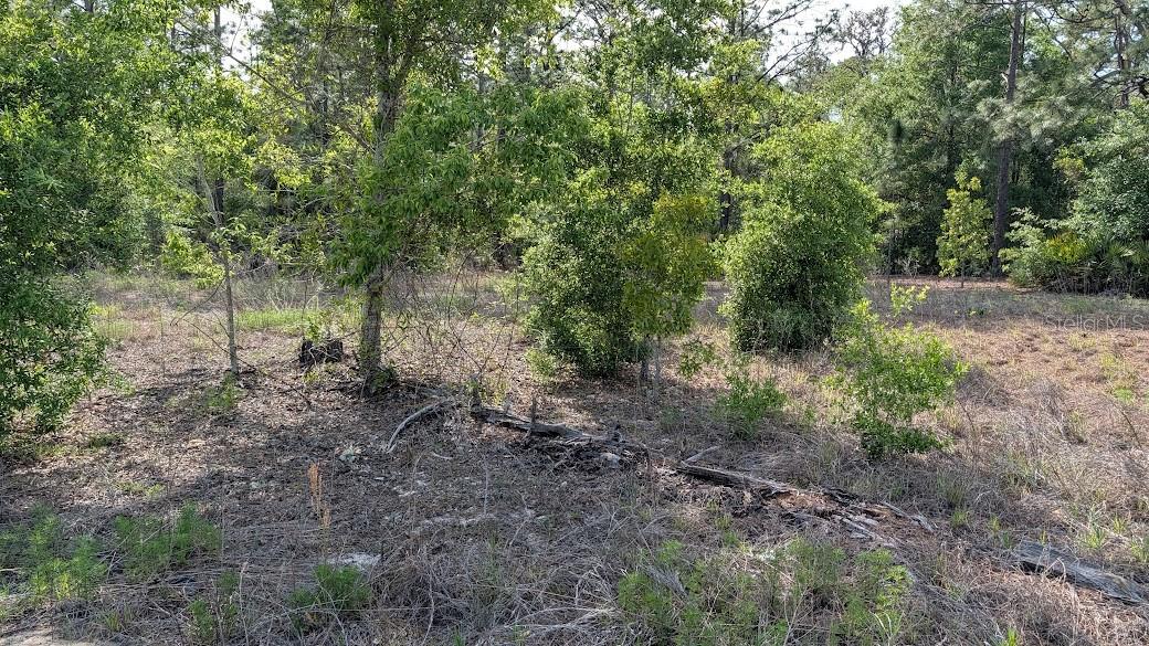 Lot 88 SW 152 ND COURT