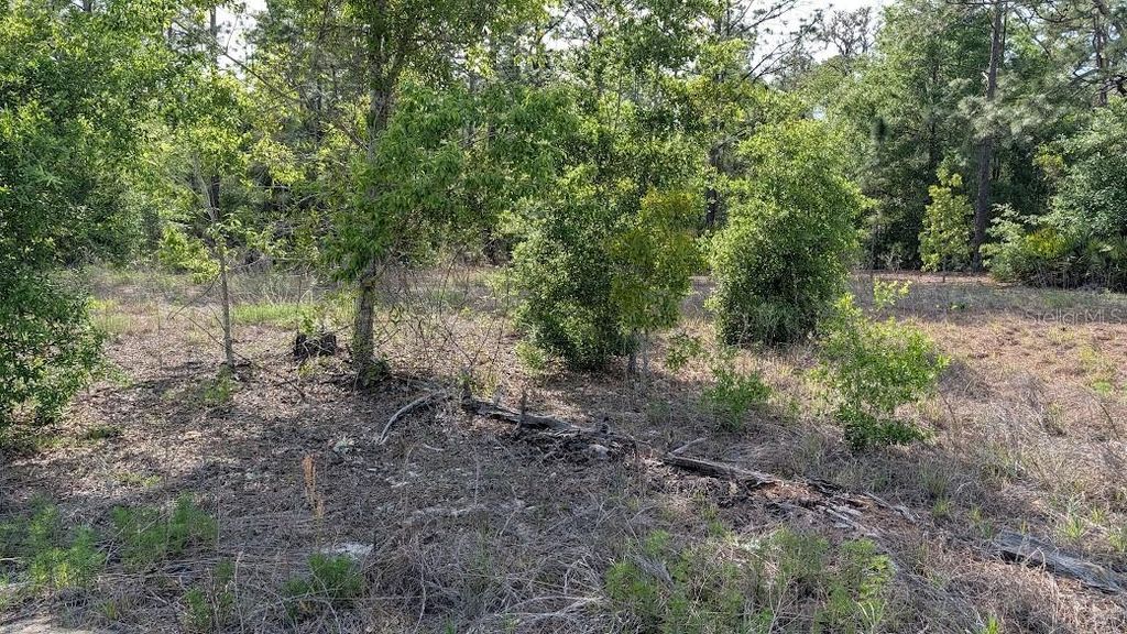 Photo of 88 SW 152 Nd Court, Ocala, FL 34481 (MLS # OM723093)