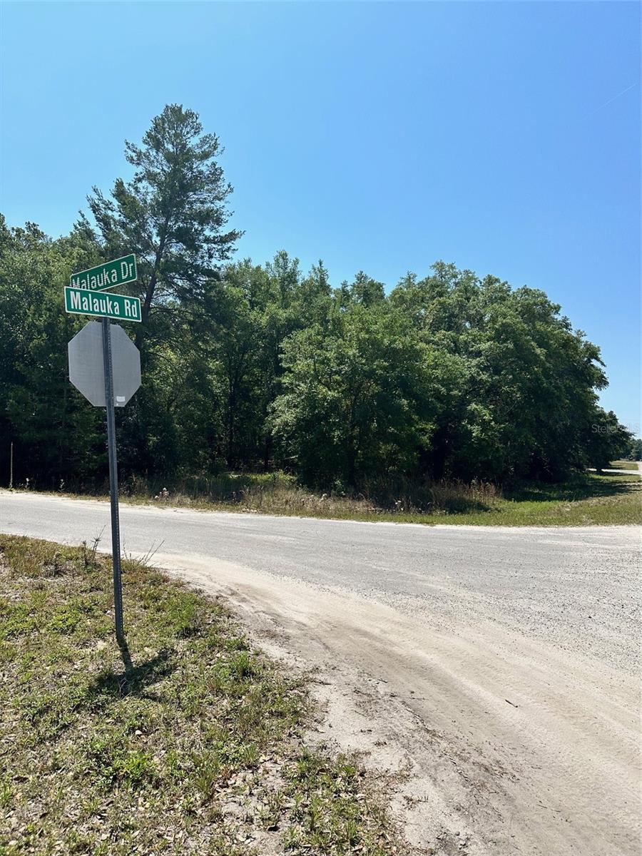 Listing image 8