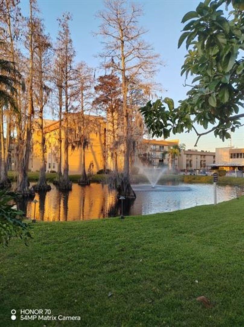 THE TAMPA RACQUET CLUB A CONDO - Residential Lease