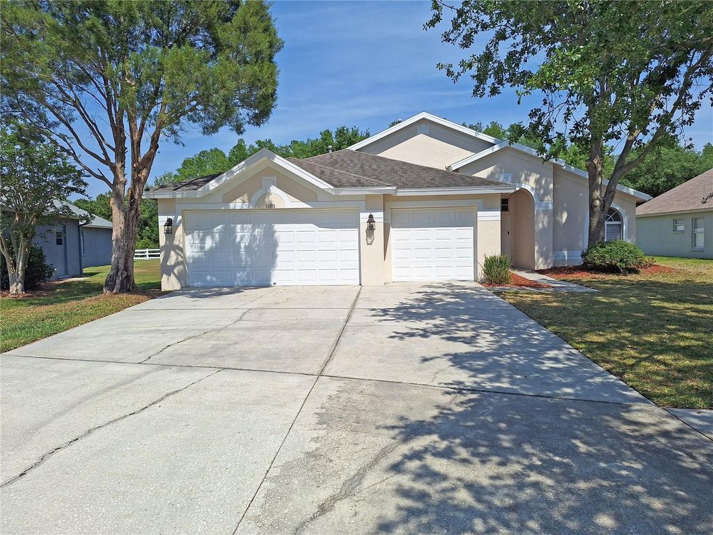 Photo of 19855 Ellendale Drive, Land O Lakes, FL 34638 (MLS # W7875087)