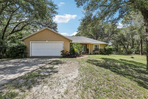 Photo of 31154 Lochmore Circle, Sorrento, FL 32776 (MLS # O6357288)
